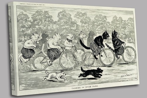 Group cats engaged in - group,