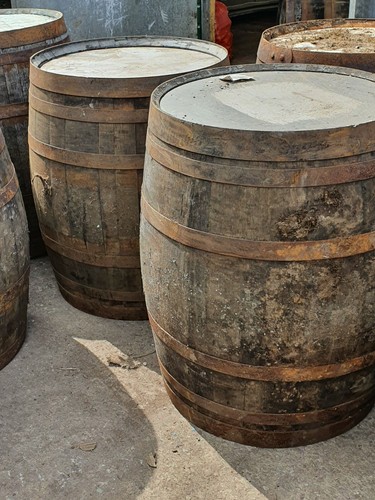 Whole oak barrels x 28 - 6,