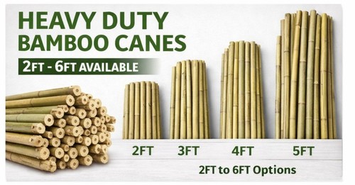 Heavy duty bamboo canes - duty,