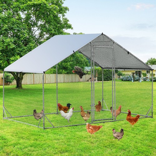 Large spire shaped chicken - large, spire-shaped