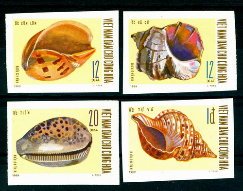 1970 shells sea snails - shells,sea, snails,sea