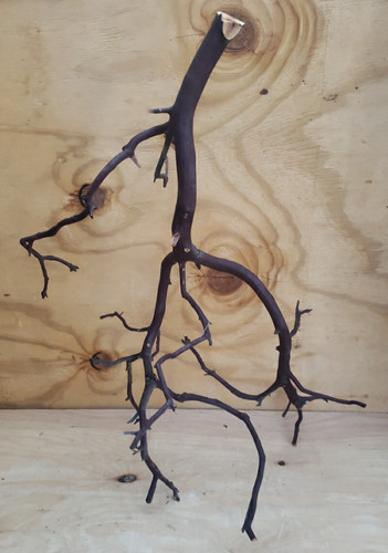 Large multi branch red - multi,