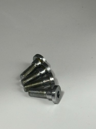Stainless disc bolt 24mm - stainless,