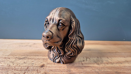American cocker spaniel - cocker,