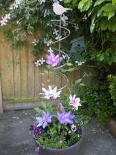 1 Bird Spiral Plant Support