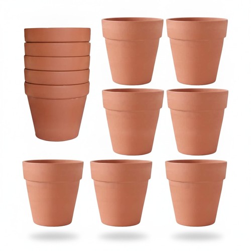 Terra cotta plant - cotta, pots