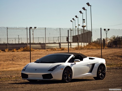 Car vehicle lamborghini - car,