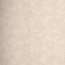 Caravan Wallboard Bowburn 2020