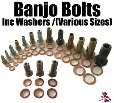 Banjo Bolt M6 M8 M10 M12 M14 M16 M18 Metric Thread Fitting BSP