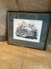 A FRAMED Print Of An Engraving