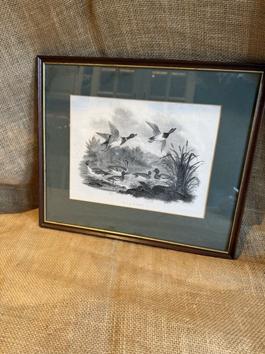 Framed print an engraving - a,