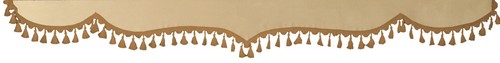Front windshield curtains