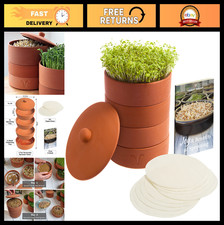 Terracotta Clay Sprouter Kit -