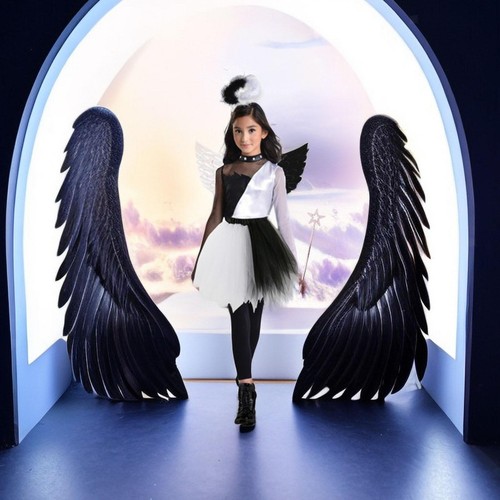 Angel devil wing - devil,