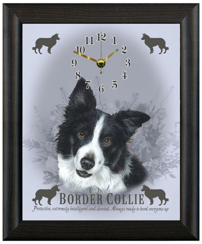 Border collie clock - wall, or