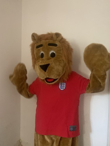 Football lion adult mascot - football,