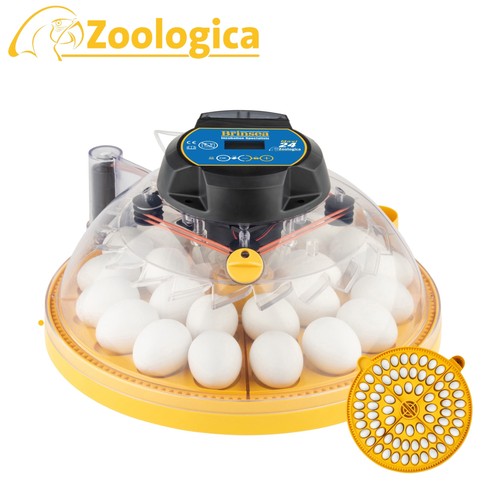 New brinsea maxi zoologica - new,