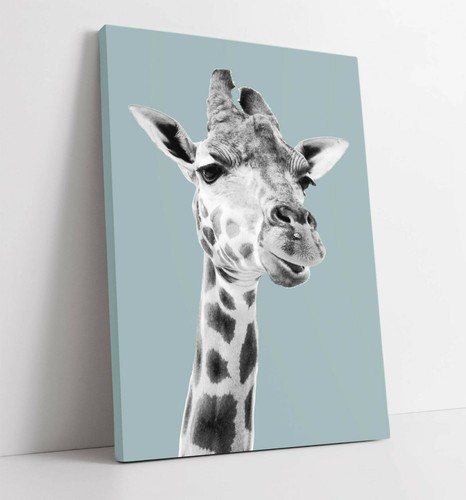 Duck egg blue - blue, giraffe