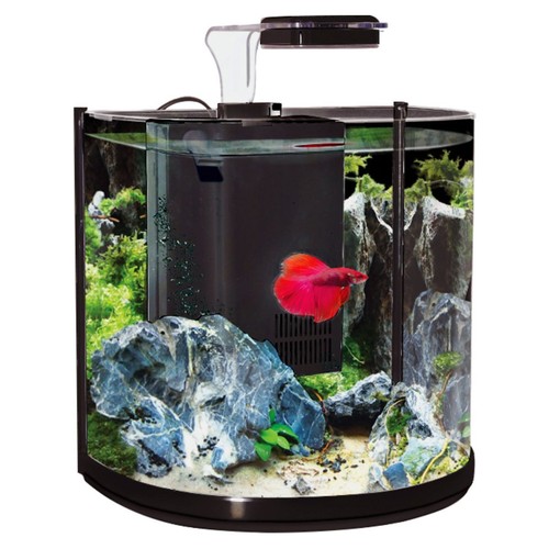 Aqua one betta tank bt10 - tank,