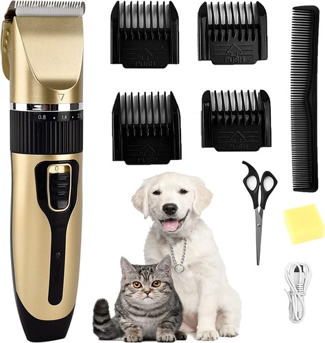 Professional pet dog grooming - pet,
