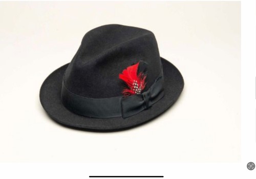Classic trilby hat - trilby,