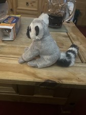 Nature Planet Ring Tailed