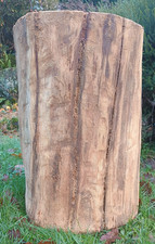 Huge tree stump table