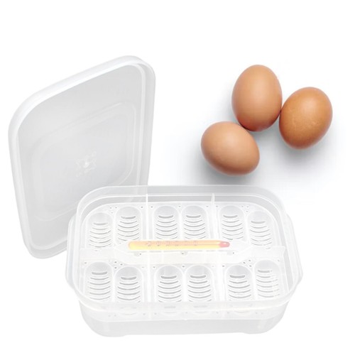 Plastic reptile egg incubation - egg,