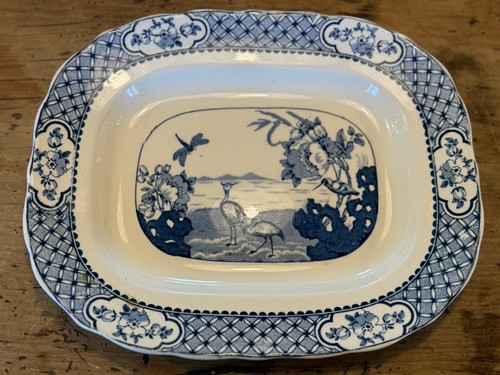 Britannia pottery moyen - britannia,