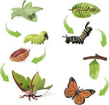 2 Set of 8 Pieces Caterpillar