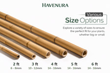 Havenura Bamboo Canes Garden