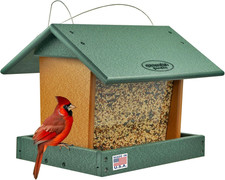 Poly Hanging Hopper Bird