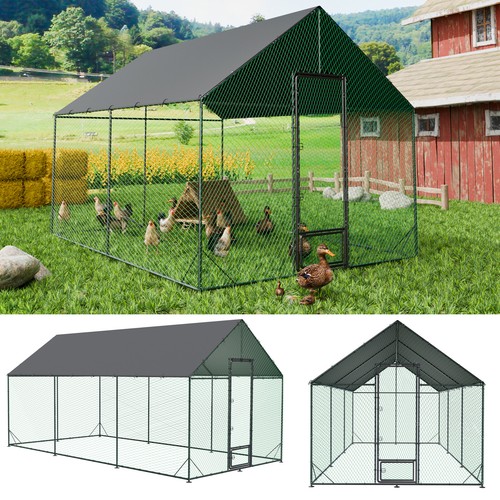 Walk metal chicken - in, coop