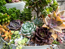 Selection TEN NAMED baby