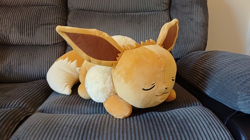 Pokemon eevee sleeping - eevee,