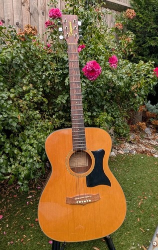 Tanglewood tf8 nashville - tanglewood,