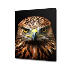 Hawk Bird Animal Canvas Print