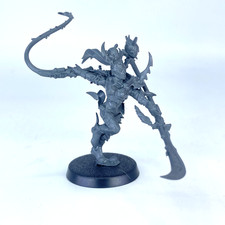 Drukhari Succubus - Drukhari /