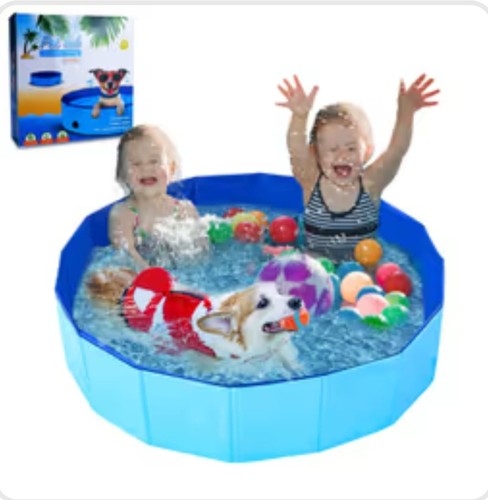 Dog folding swimming - dog,