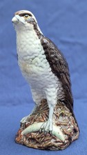 Gorgeous Royal Doulton Osprey