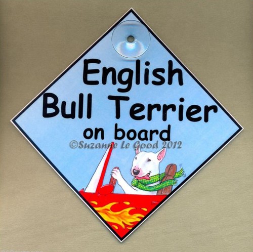 New english bull terrier on - new,