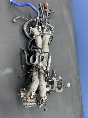 Subaru impreza wrx bug - impreza,