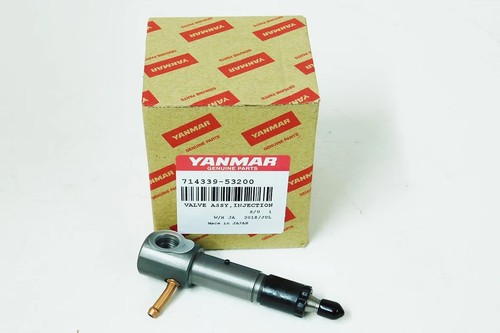 Fuel injector assembly - assembly, for