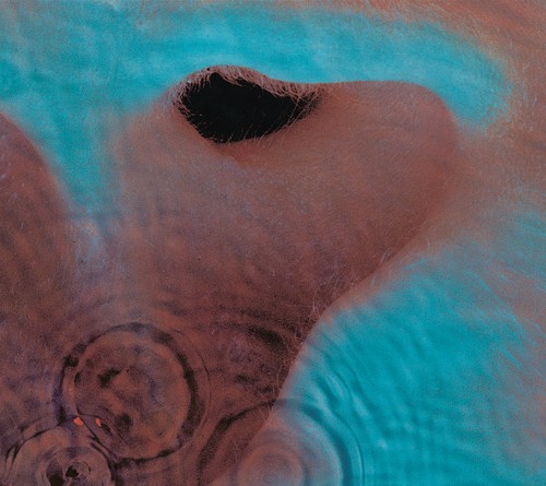 Pink floyd meddle vinyl - pink,