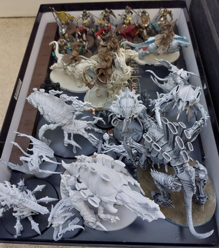 Selection tyranids - selection, of