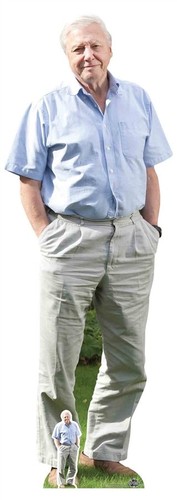 David attenborough lifesize - attenborough,