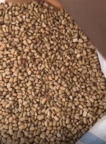 Fresh honey brown - fresh,