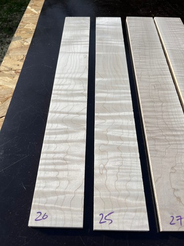 Curly flame maple acoustic - curly, /