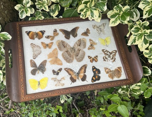 Vintage wooden tray with - wooden,