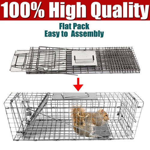 Animal traps cage for squirrel - traps,